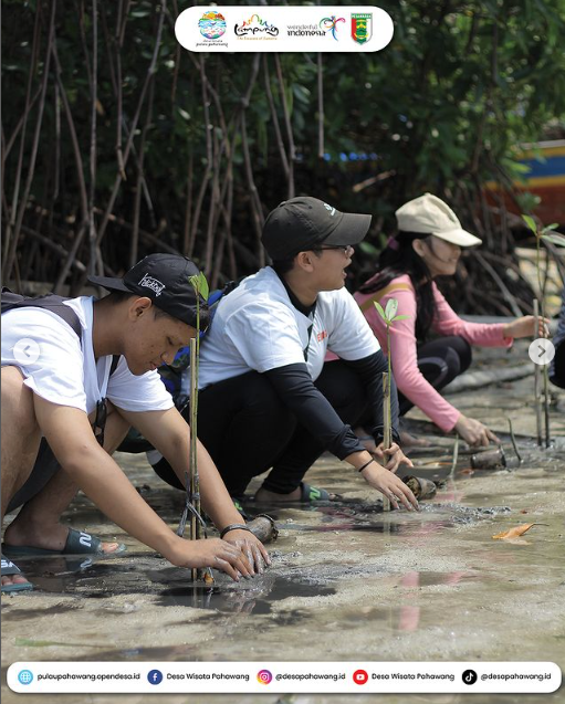 Desa Wisata Pulau Pahawang, Liburan Sekaligus Belajar Lingkungan