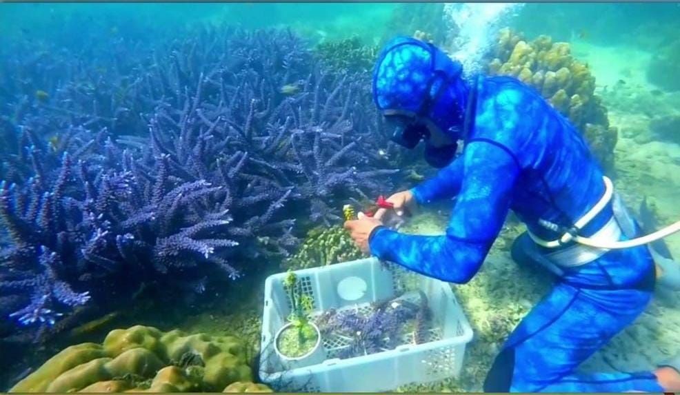 Desa Wisata Pulau Pahawang, Liburan Sekaligus Belajar Lingkungan