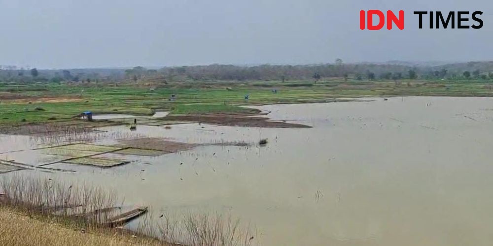 Waduk di Madiun Menyusut, 3 Kecamatan Terancam Gagal Panen