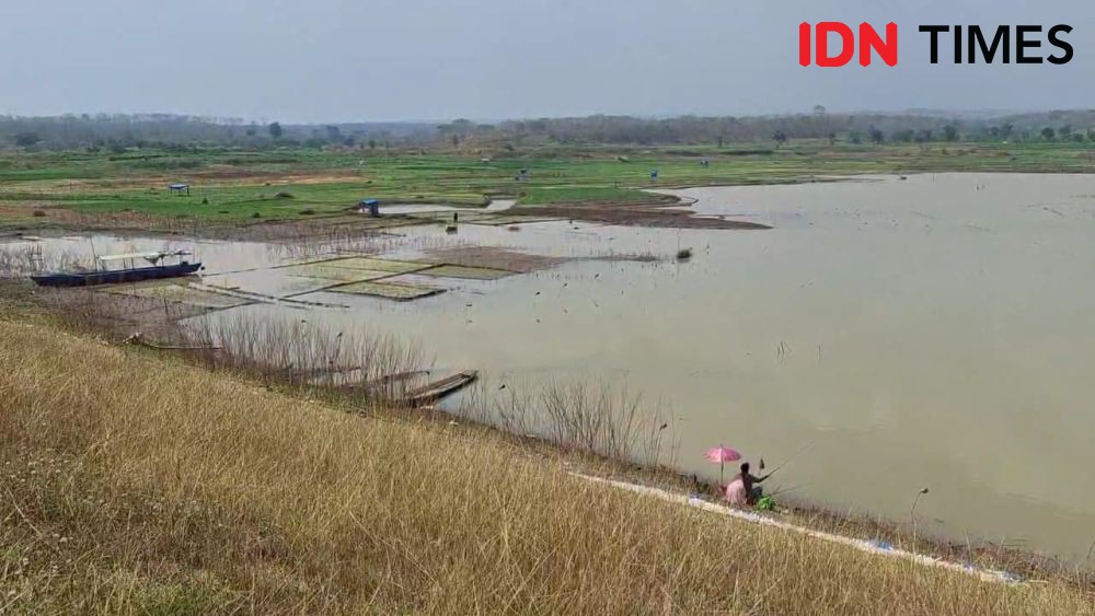 Waduk di Madiun Menyusut, 3 Kecamatan Terancam Gagal Panen