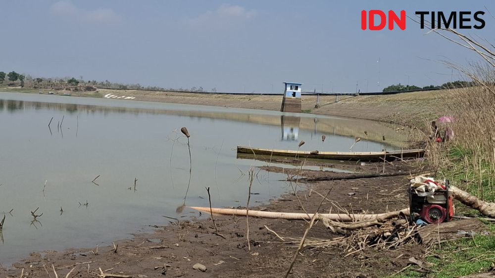 Waduk di Madiun Menyusut, 3 Kecamatan Terancam Gagal Panen