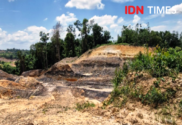 Pakai Lahan Eks Tambang, OIKN dan ITB Ajak Warga Manfaatkan Bambu