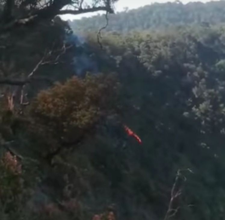 BNPB Diminta Pakai Helikopter Padamkan Karhutla di Tangkuban Parahu