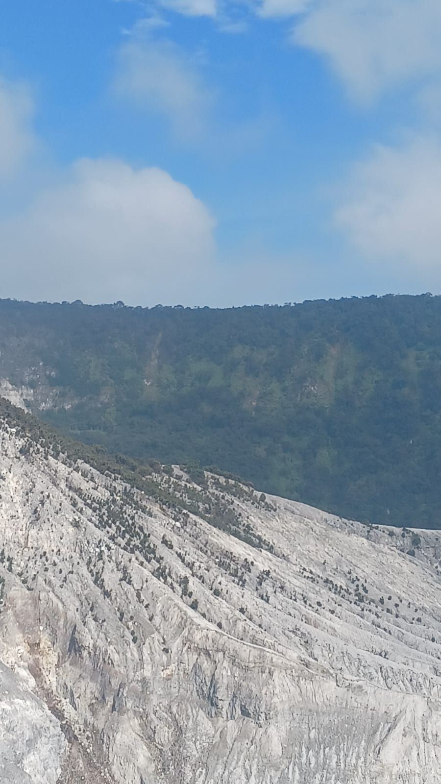 BNPB Diminta Pakai Helikopter Padamkan Karhutla di Tangkuban Parahu