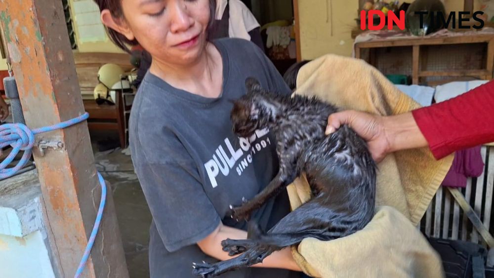 Tangis Haru Iringi Penyelamatan Kucing yang Tercebur Sumur di Ngawi