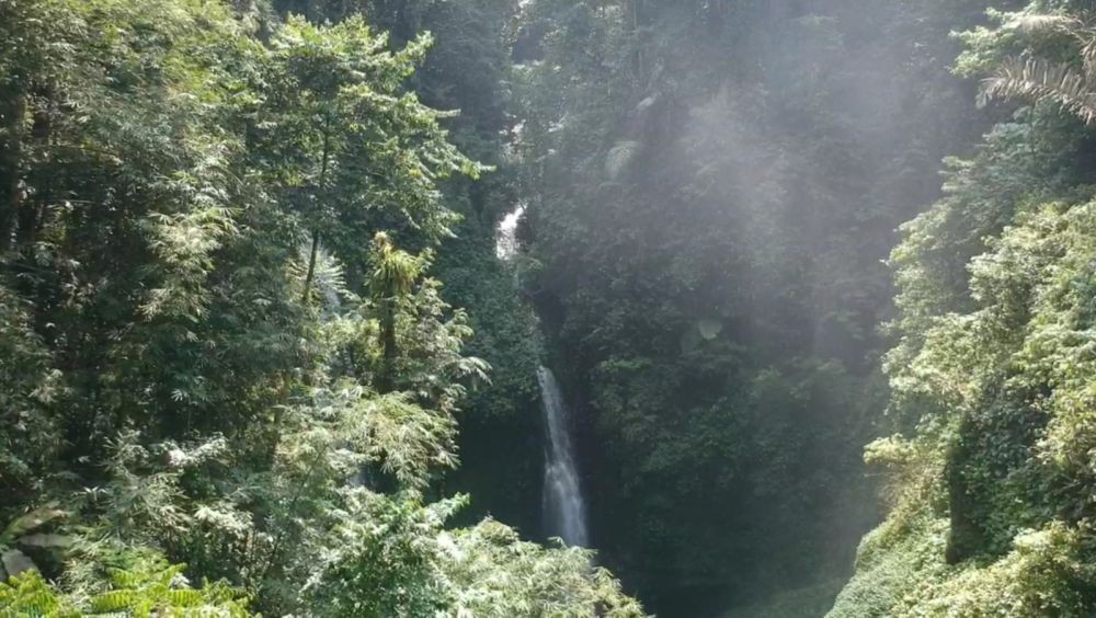 Suhu Bumi Meningkat akibat Perubahan Iklim: Dampak Nyata di Indonesia