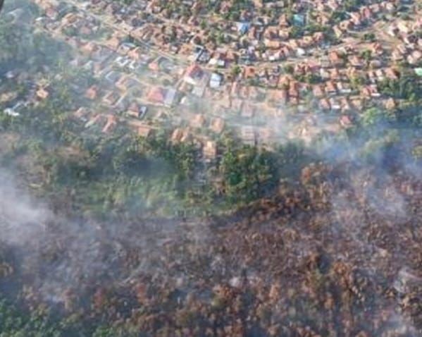 86 Hektare Lahan Gambut di Muara Enim Ludes Terbakar