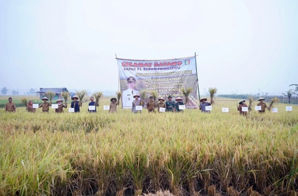 Pemkab Pringsewu Panen Padi Demplot Perdana, Metode Tanpa Olah Tanah