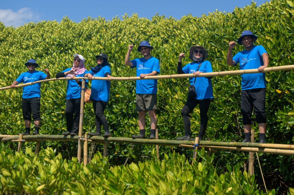 KEHATI dan Sankyu Tanam 3 Ribu Bibit Mangrove di Makassar