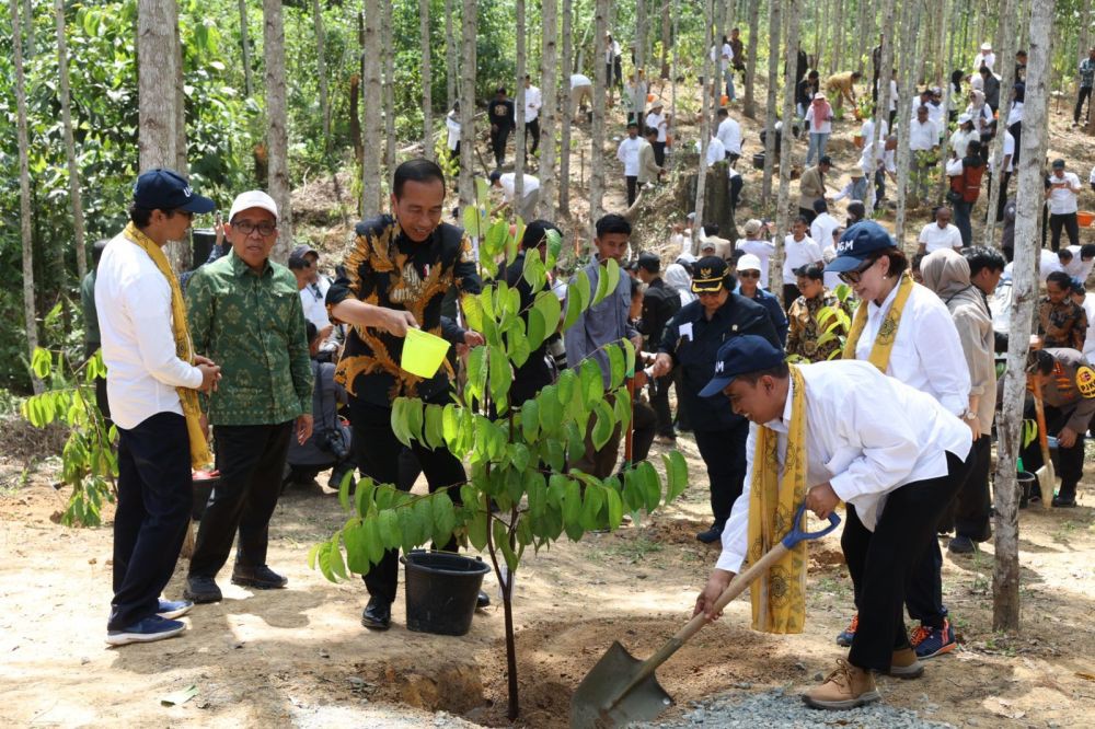 UGM Kelola Hutan Wanagama Nusantara IKN yang Dicanangkan Jokowi