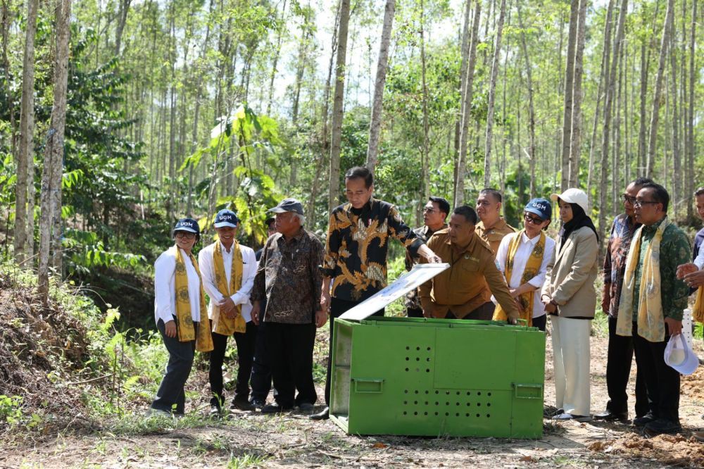 UGM Kelola Hutan Wanagama Nusantara IKN yang Dicanangkan Jokowi