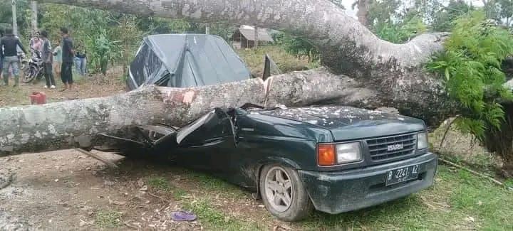 Sekeluarga Dalam Mobil Tertimpa Pohon, 3 Meninggal dan 2 Terluka