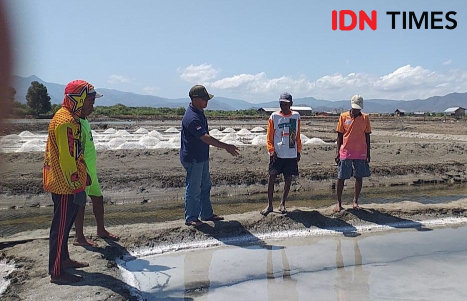 Petambak Garam di Cirebon Bertambah, tapi Harga Malah Anjlok