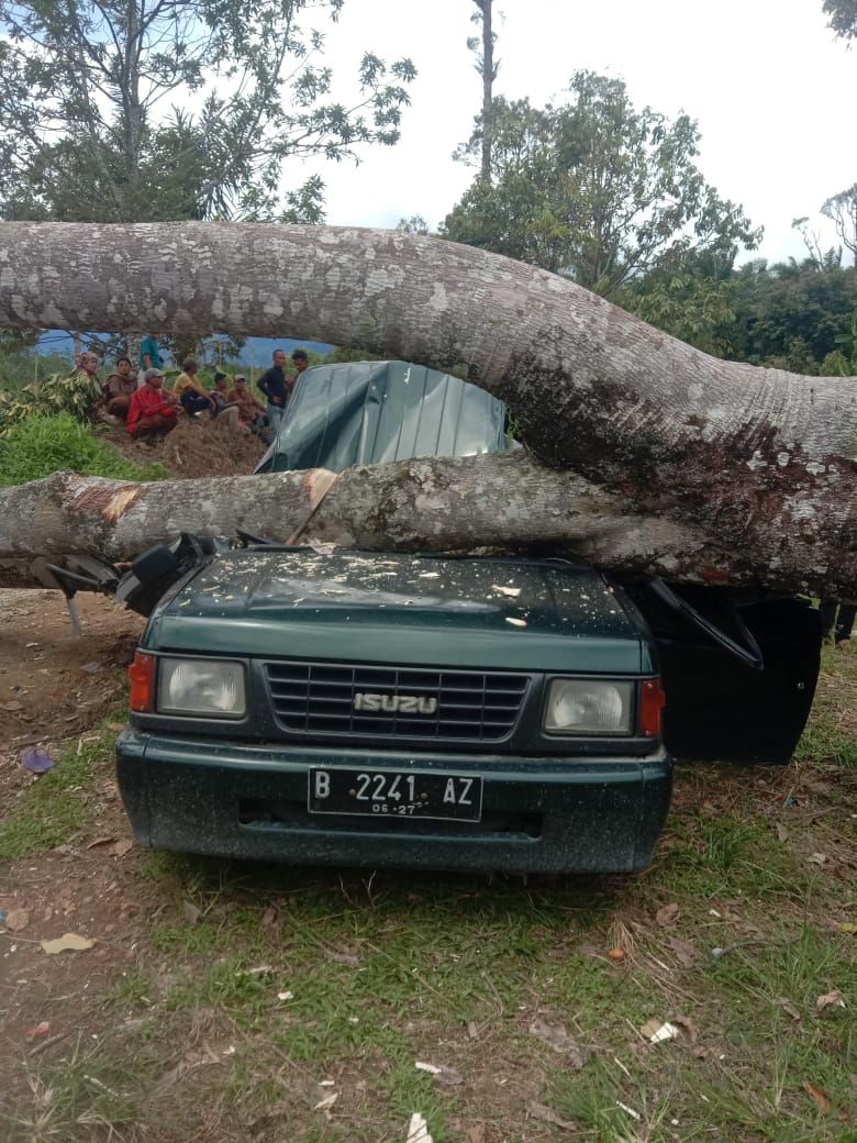 Sekeluarga Dalam Mobil Tertimpa Pohon, 3 Meninggal dan 2 Terluka