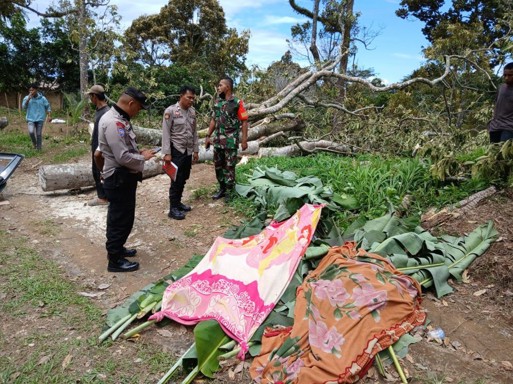 Sekeluarga Dalam Mobil Tertimpa Pohon, 3 Meninggal dan 2 Terluka