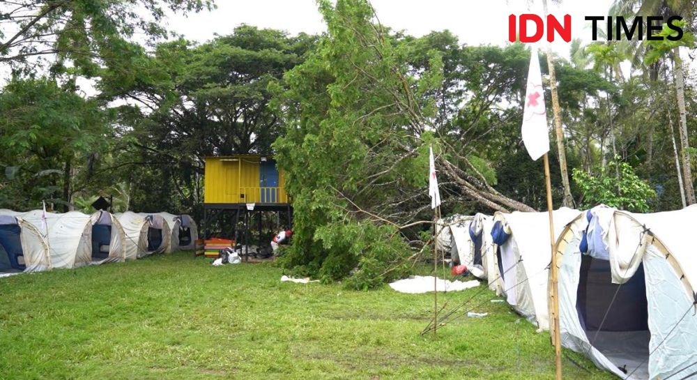 Pohon Tumbang Menimpa Tenda Relawan PMI di Kubu Raya, 1 Orang Tewas