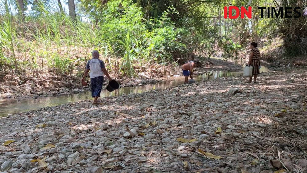 Potret Krisis Air Bersih di Ngawi, Warga Gali Lubang di Sungai