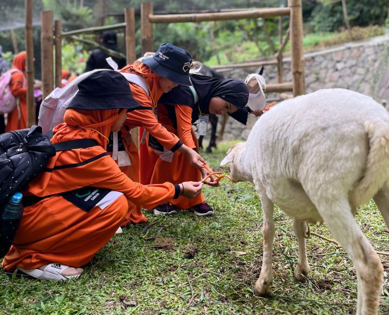 Mau Wisata Sambil Edukasi Anak? WOW Sarae Hills Bisa Jadi Pilihan 