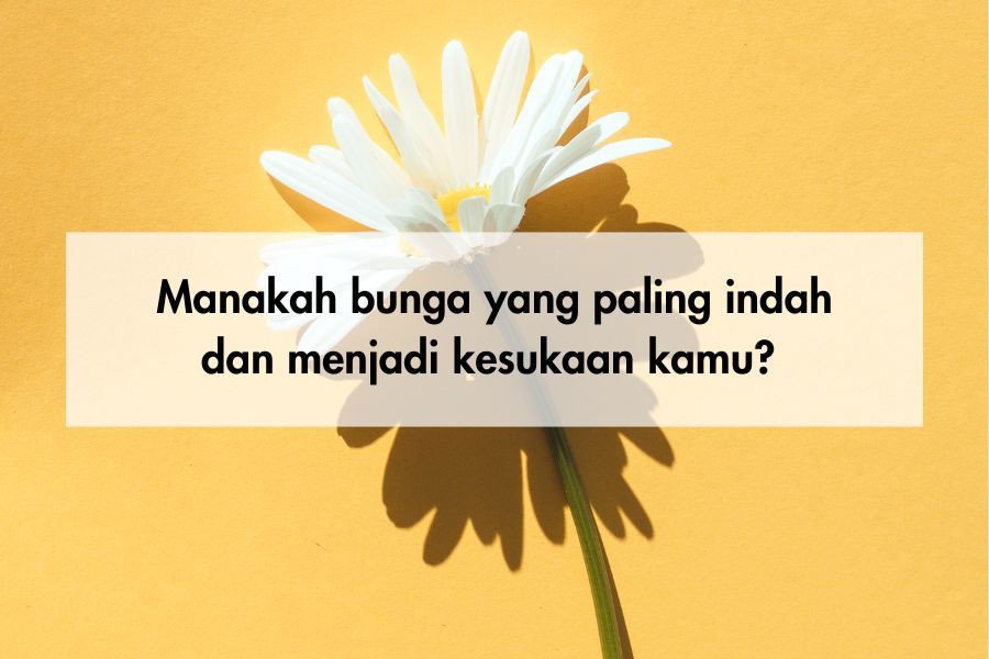 [QUIZ] Pilih Bunga Favorit Kamu untuk Tahu Seberapa Berkelas Dirimu