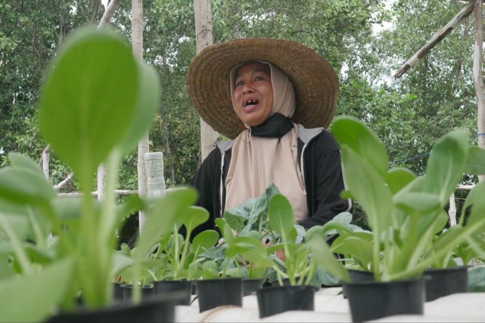 Menanam dan Memanen Harapan di Pelantar Tanjung Pinang