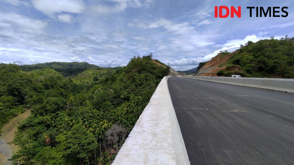 Perjuangan Masyarakat Ambil Kembali Hutan Adat yang Masuk Konsesi HTI