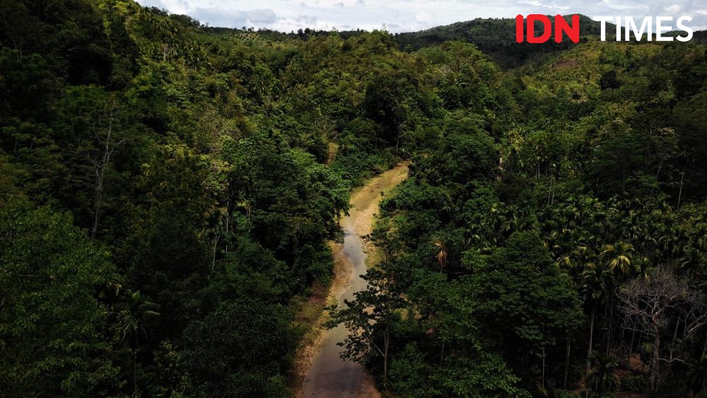 Perjuangan Masyarakat Ambil Kembali Hutan Adat yang Masuk Konsesi HTI