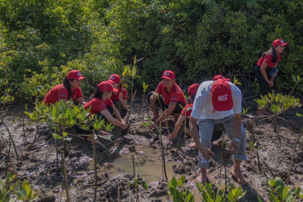 SRC dan Komunitas Kolaborasi Tanam 1.111 Bibit Mangrove