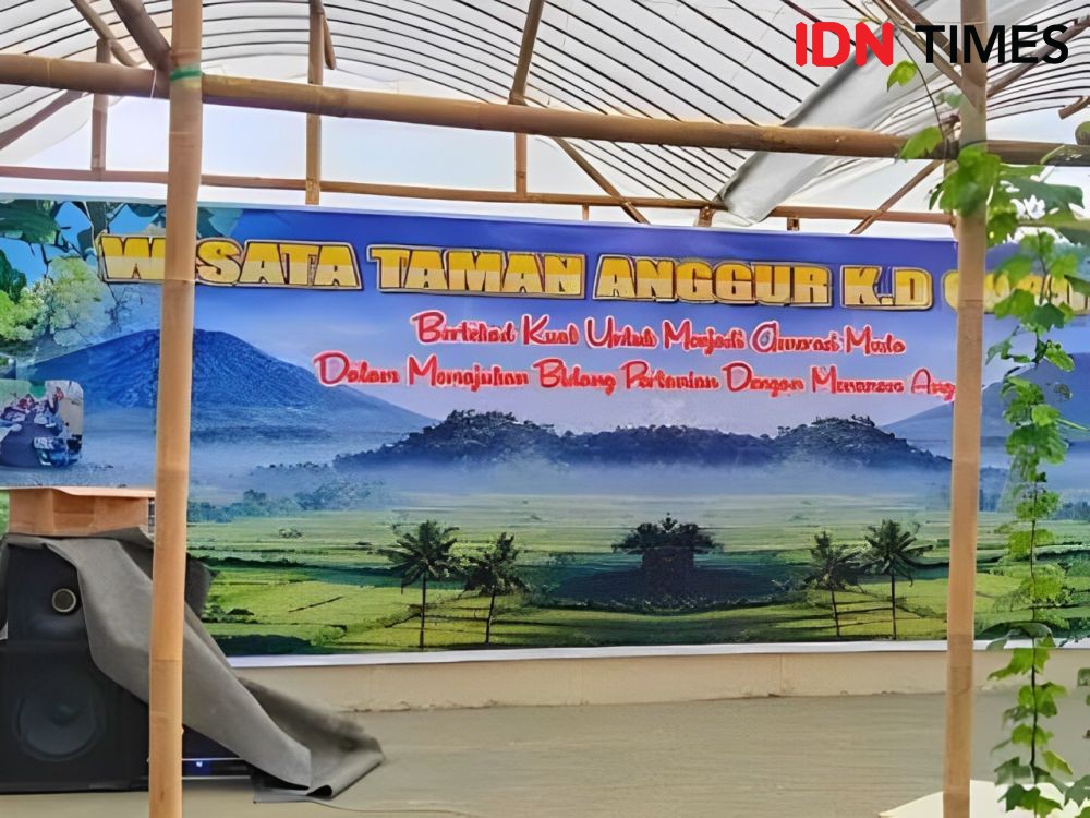 Cerita Guru SMK di Baturaden yang Punya Kebun Anggur Ninel Ukraina