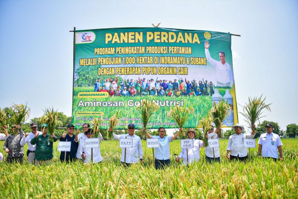 Produksi Padi Organik Indramayu Meningat 50 Persen di Tahun 2024