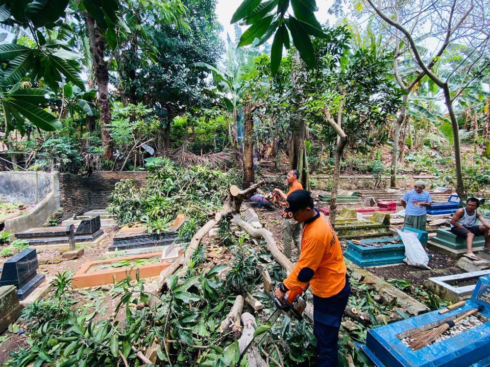 Cuaca Ekstrem Bandar Lampung Picu 12 Pohon Tumbang dan Banjir