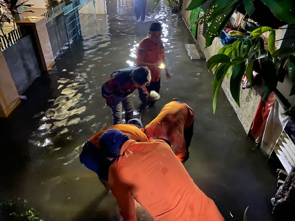 Cuaca Ekstrem Bandar Lampung Picu 12 Pohon Tumbang dan Banjir