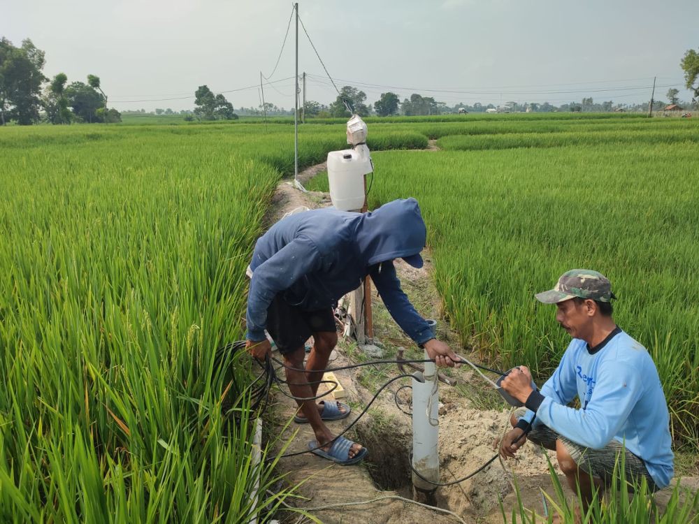 Curhatan Petani di Lampung Berjibaku Hadapi Ganasnya Perubahan Iklim