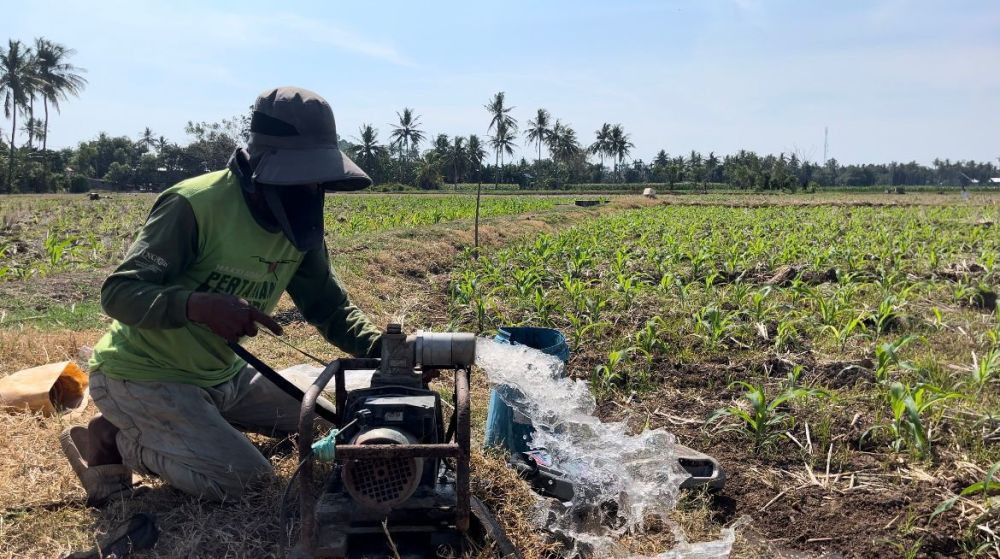 Listrik Hijau PLN Bantu Petani di Sulsel Tekan Biaya Operasional