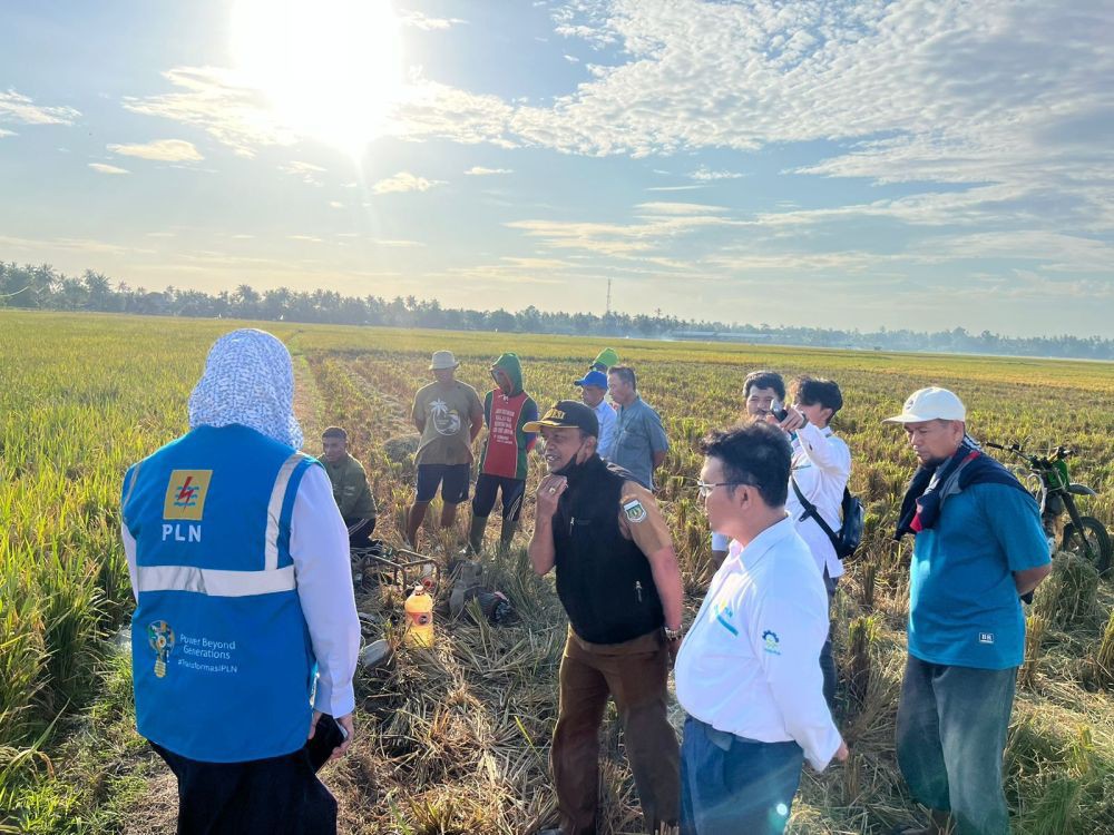 Listrik Hijau PLN Bantu Petani di Sulsel Tekan Biaya Operasional