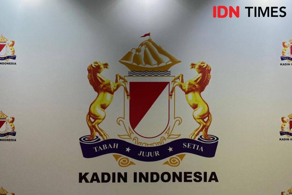 Daftar Susunan Pengurus Kadin 2024-2029 Versi Anindya Bakrie