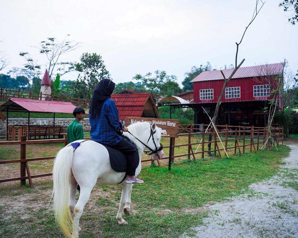 Wisata Bukit Domba Sentul: HTM, Lokasi, Aktivitas Seru, dan Tips