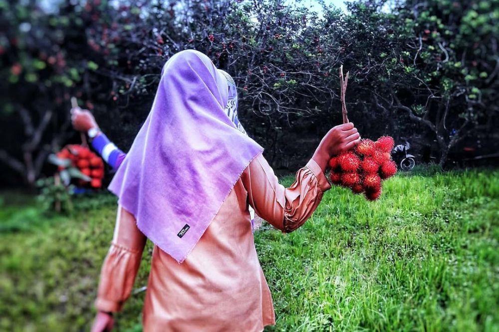 4 Wisata Petik Buah yang Paling Seru di Nganjuk