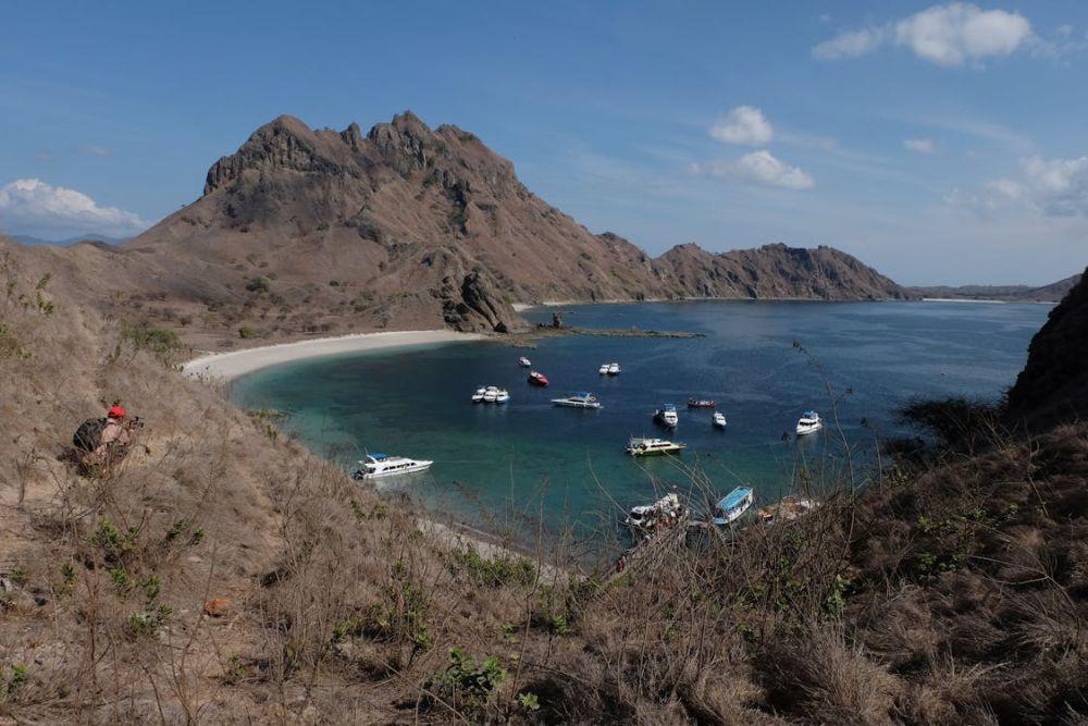 Sama-sama Habitat Komodo, Ini Beda Pulau Rinca dan Pulau Komodo