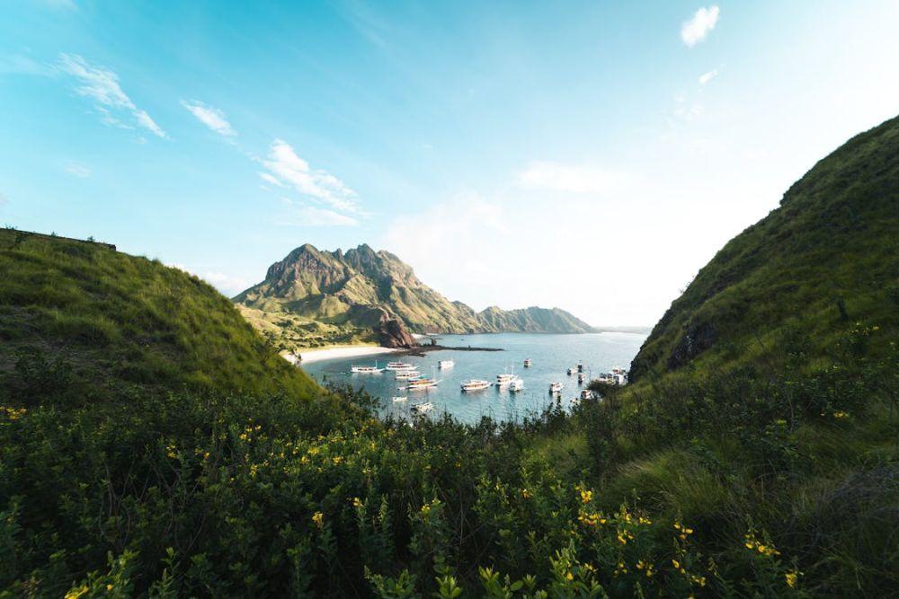 Sama-sama Habitat Komodo, Ini Beda Pulau Rinca dan Pulau Komodo