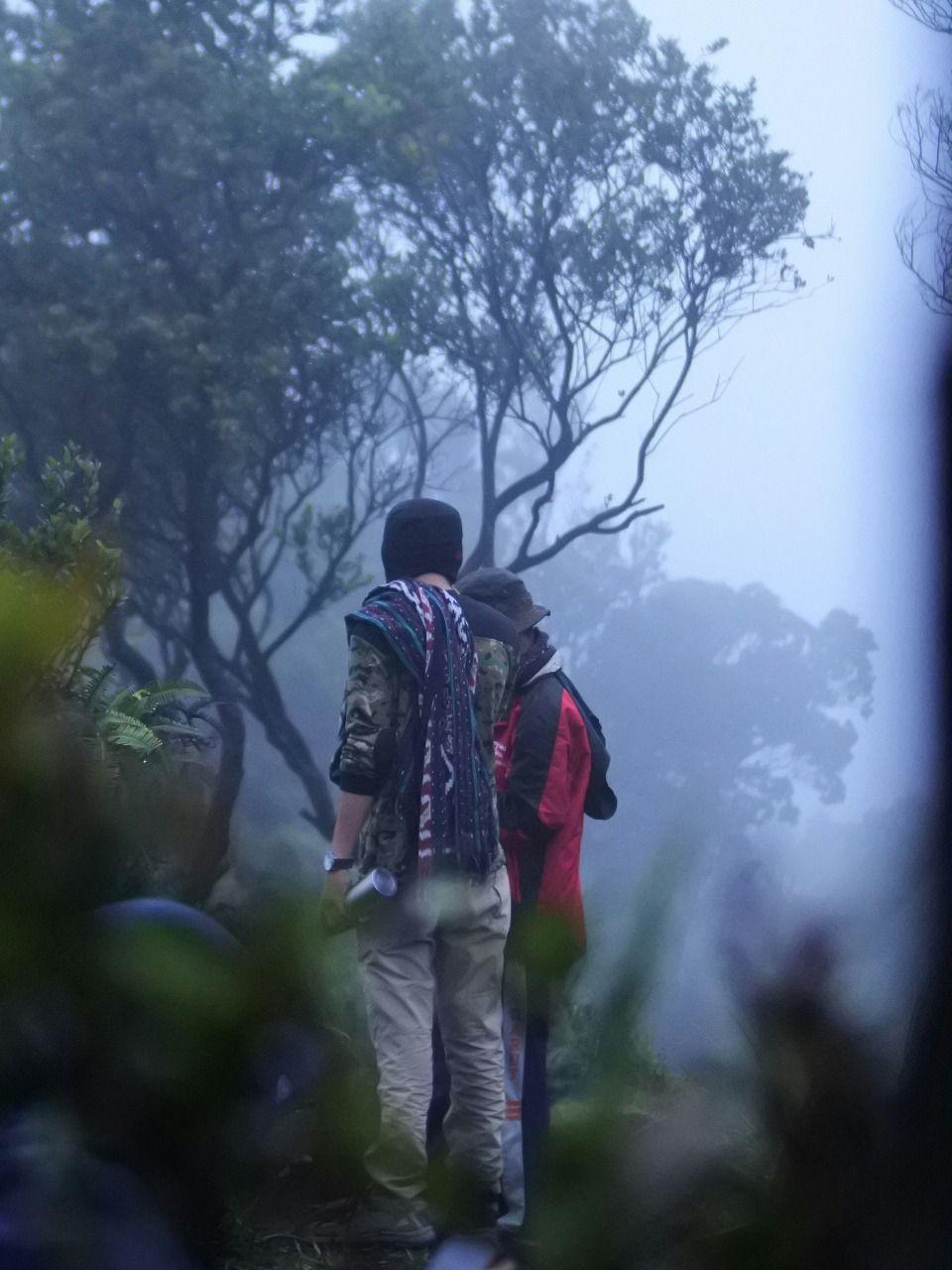 Jalur Pendakian Gunung Papandayan beserta Pos-posnya