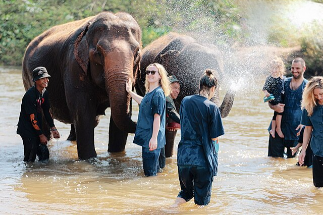 Apa yang Membuat Chiang Mai Spesial dan Terkenal di Kalangan Expat?