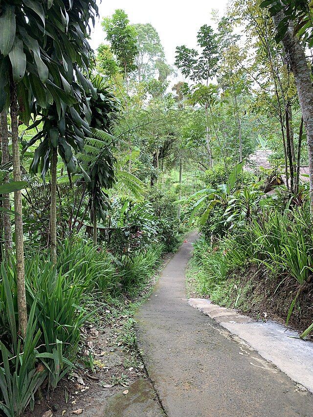 Mengenal Air Terjun Banyumala, Jadi Lokasi Syuting Girlband no na!