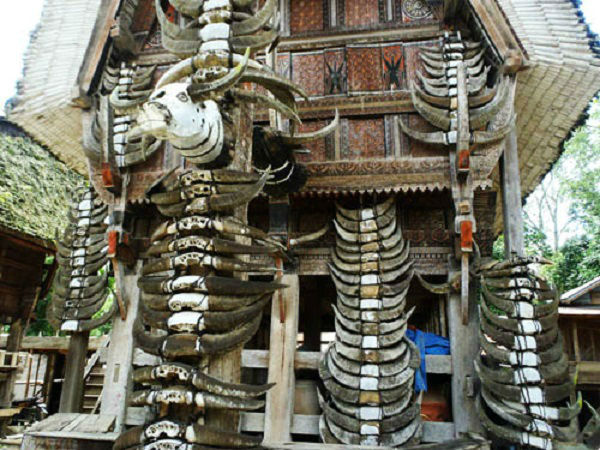 Hobi Travelling Tapi Nggak Pernah Ke Tana Toraja? Rugi Kamu!
