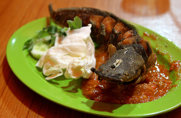 Sumber Gambar: jenzcorner.net pecel lele