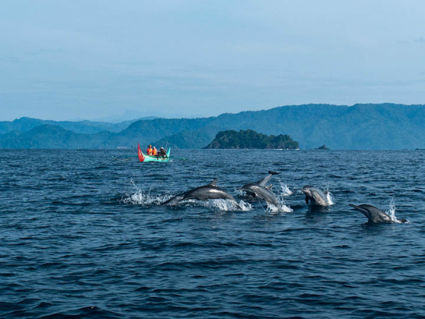 Teluk Kiluan